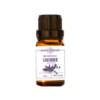 Lavender essential oil