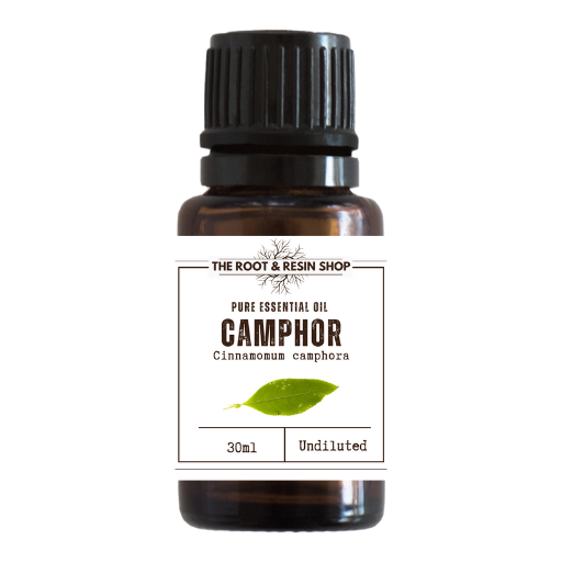 camphor essential oil