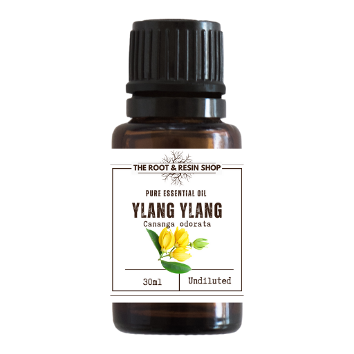 ylang ylang essential oil