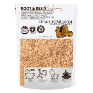 chaga mushroom